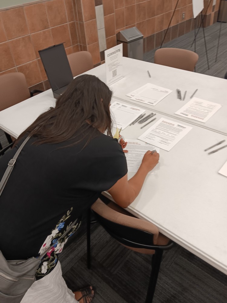 vision zero survey taker